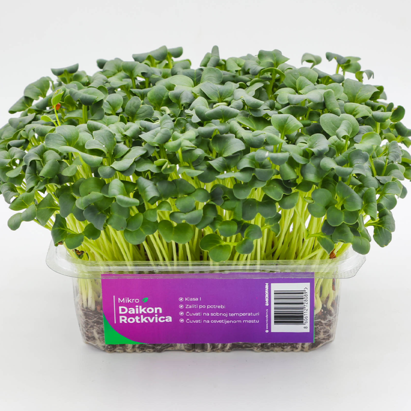 mikrobilje daikon rotkvica
