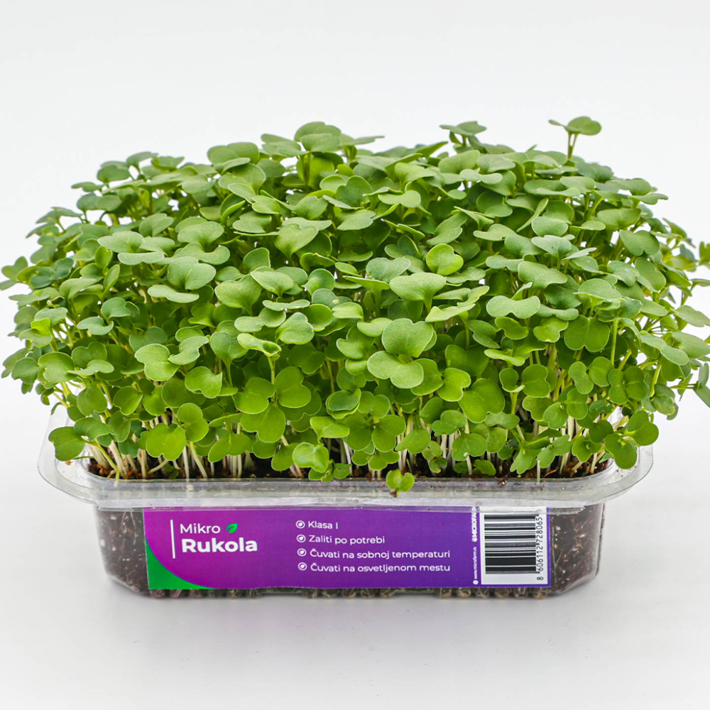 mikrobilje rukola